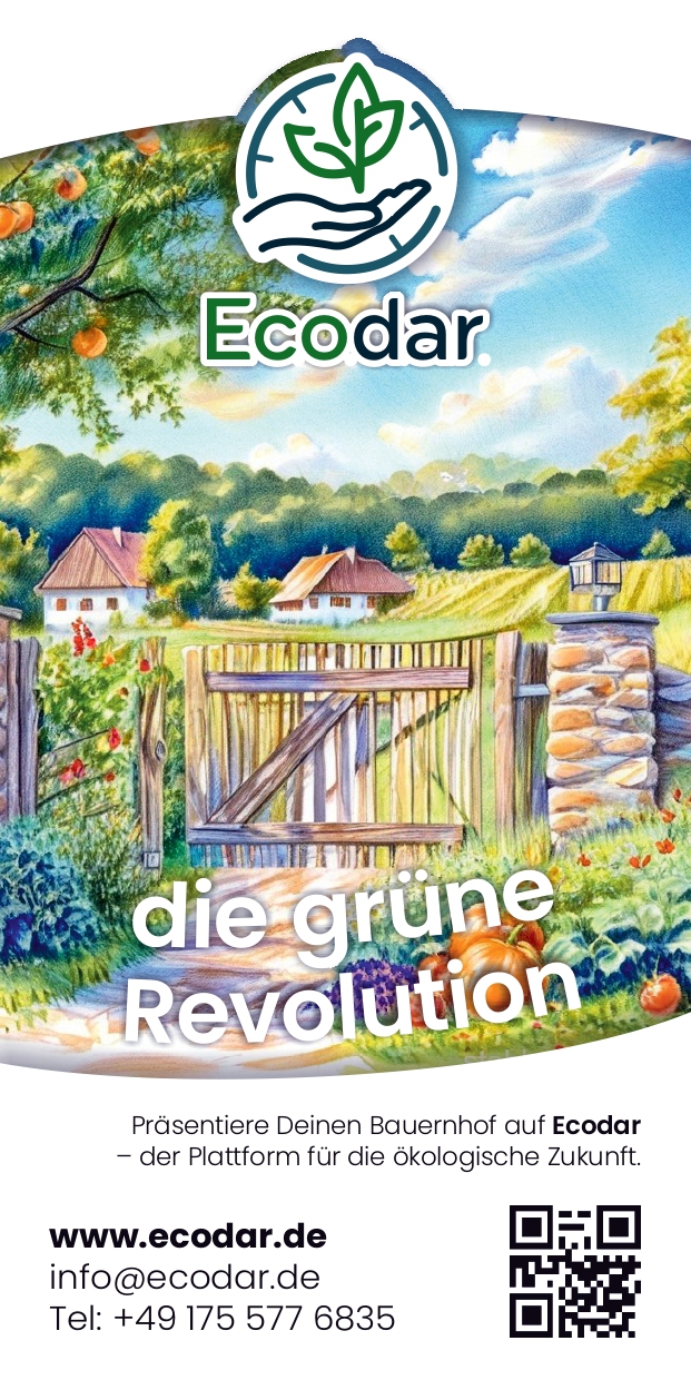 Ecodar Flyer vorderseite
