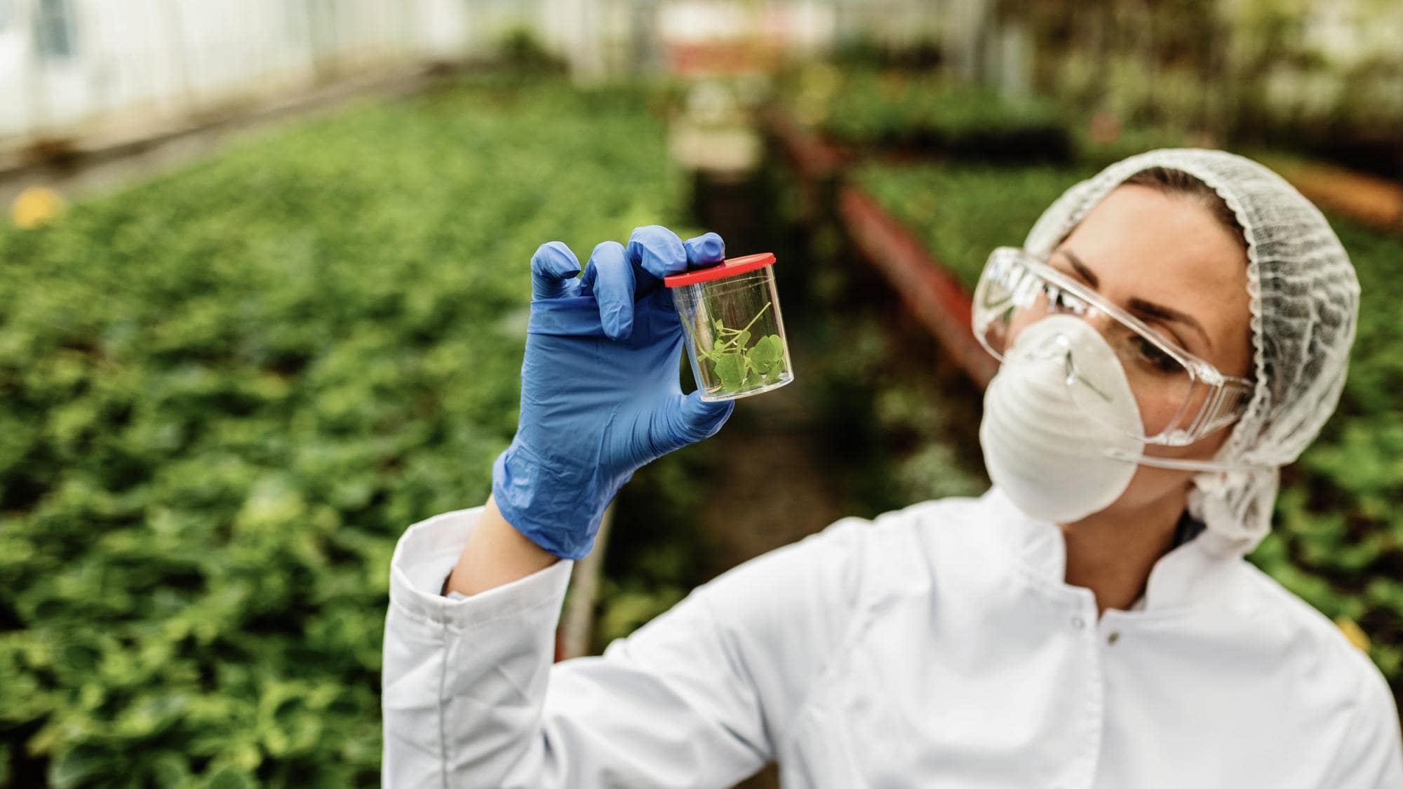 Neues EU-Gesetz zur Gentechnik in der Landwirtschaft: Chancen und Herausforderungen