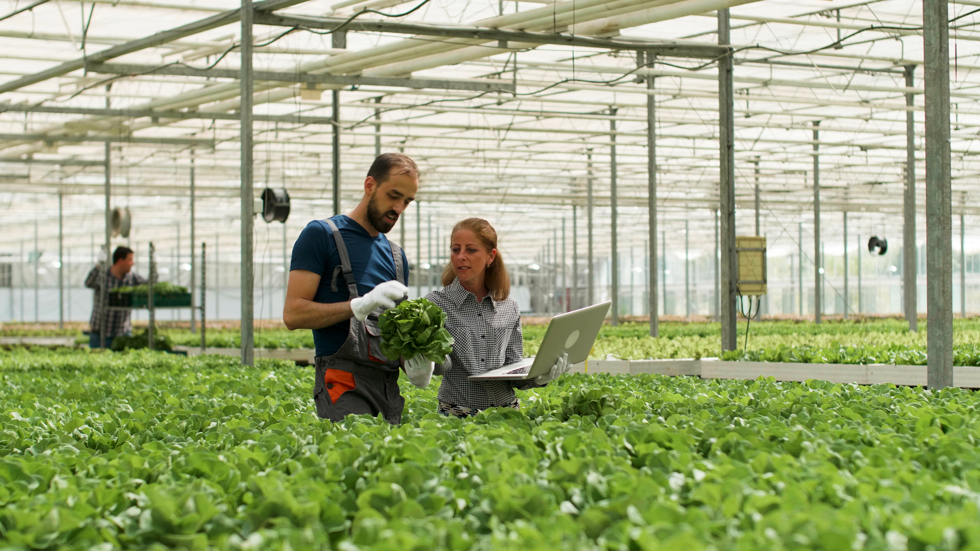 Smart Farming: Wie Technologie die Landwirtschaft revolutioniert